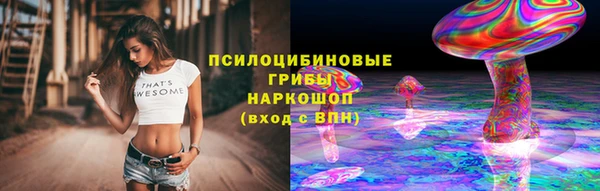 соль ск Михайлов
