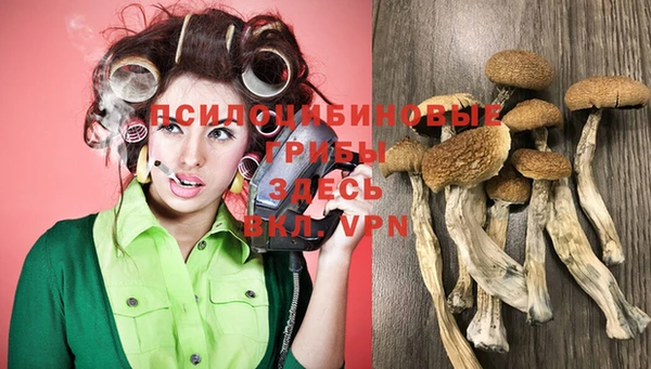 соль ск Михайлов